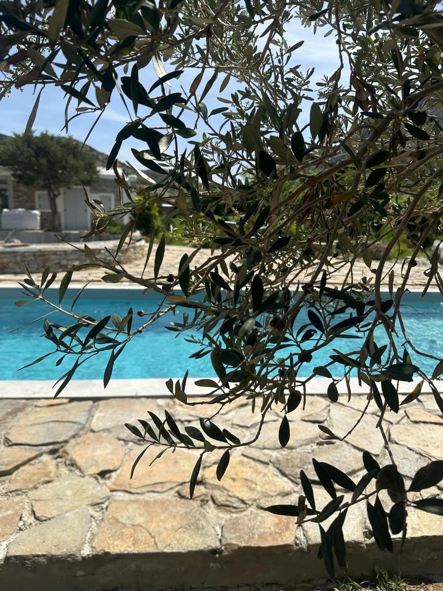 Villa River With Pool Kamares  Extérieur photo