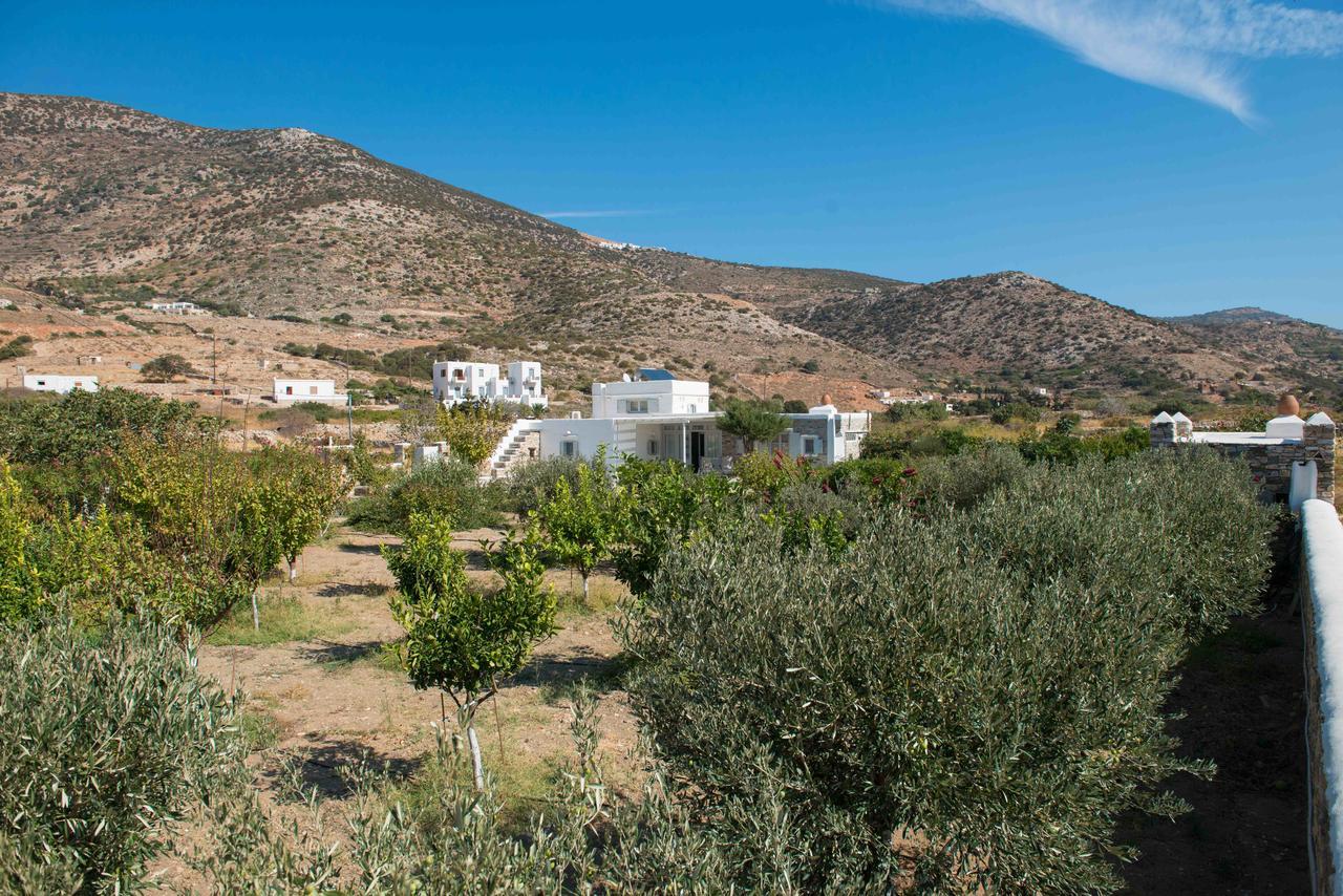 Villa River With Pool Kamares  Extérieur photo